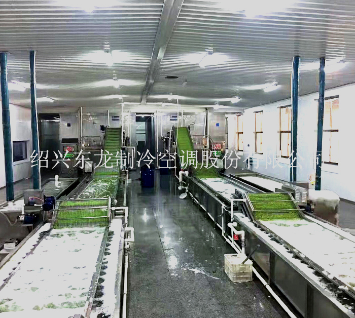 Vegetable quick-frozen production line
